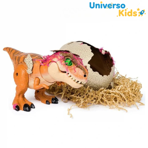 Chokito – A diversão que nasce do ovo